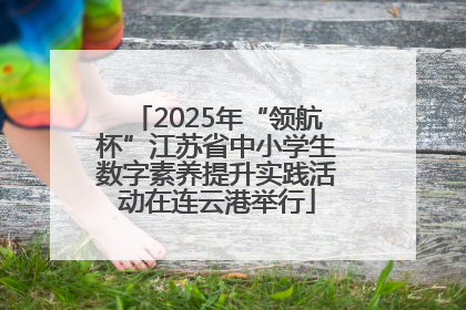 2025年“领航杯”江苏省中小学生数字素养提升实践活动在连云港举行