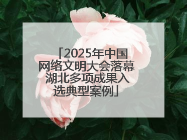 2025年中国网络文明大会落幕 湖北多项成果入选典型案例