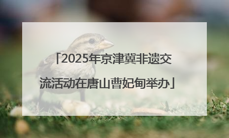2025年京津冀非遗交流活动在唐山曹妃甸举办