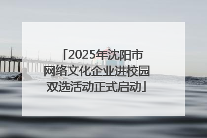 2025年沈阳市网络文化企业进校园双选活动正式启动