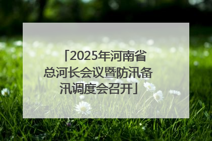 2025年河南省总河长会议暨防汛备汛调度会召开