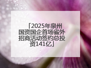 2025年泉州国资国企首场省外招商活动签约总投资141亿