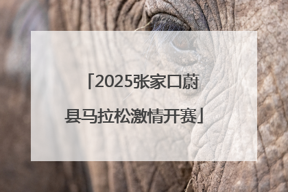 2025张家口蔚县马拉松激情开赛