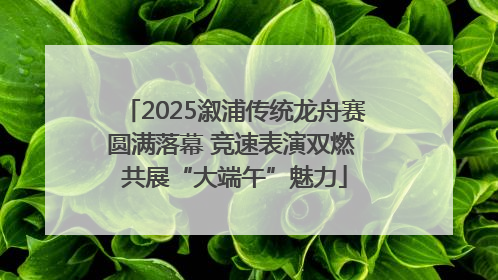 2025溆浦传统龙舟赛圆满落幕 竞速表演双燃 共展“大端午”魅力