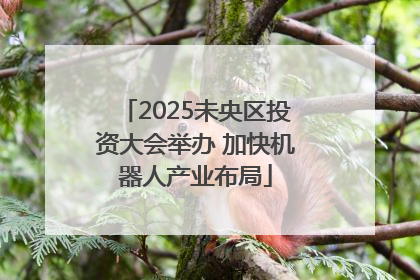 2025未央区投资大会举办 加快机器人产业布局