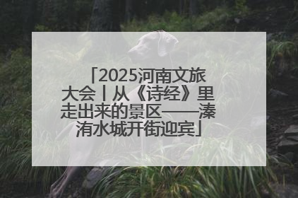 2025河南文旅大会丨从《诗经》里走出来的景区——溱洧水城开街迎宾