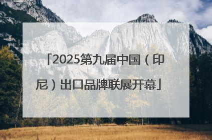 2025第九届中国（印尼）出口品牌联展开幕