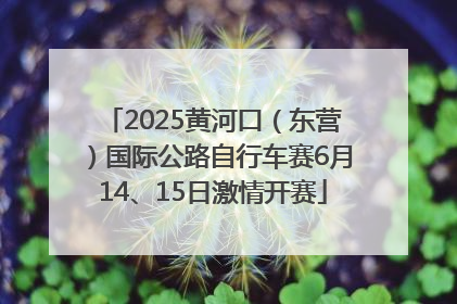 2025黄河口（东营）国际公路自行车赛6月14、15日激情开赛