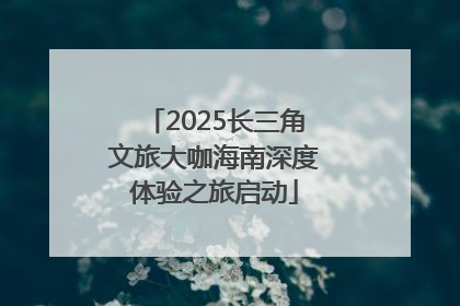 2025长三角文旅大咖海南深度体验之旅启动