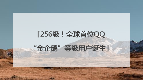 256级！全球首位QQ“金企鹅”等级用户诞生