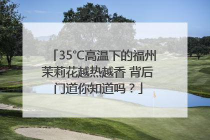 35℃高温下的福州茉莉花越热越香 背后门道你知道吗？