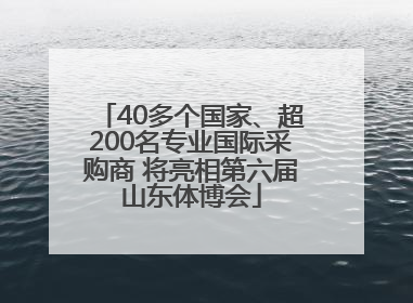 40多个国家、超200名专业国际采购商 将亮相第六届山东体博会