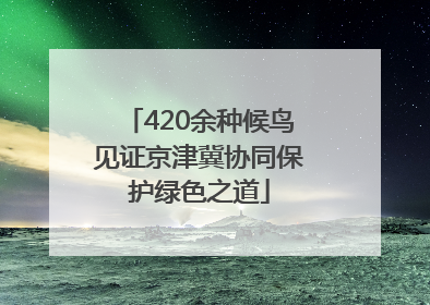420余种候鸟见证京津冀协同保护绿色之道