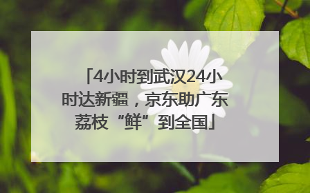 4小时到武汉24小时达新疆，京东助广东荔枝“鲜”到全国