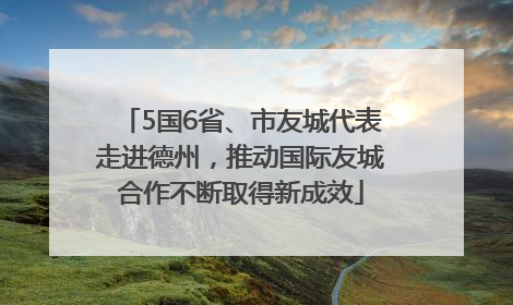 5国6省、市友城代表走进德州，推动国际友城合作不断取得新成效