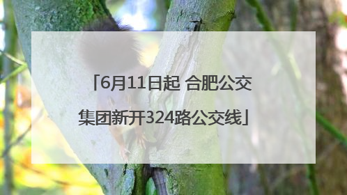 6月11日起 合肥公交集团新开324路公交线