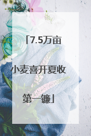 7.5万亩小麦喜开夏收第一镰