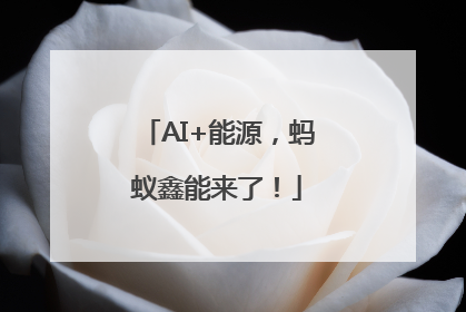 AI+能源，蚂蚁鑫能来了！