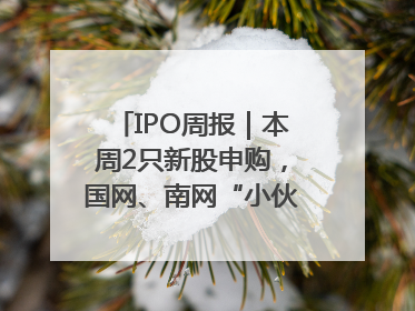 IPO周报｜本周2只新股申购，国网、南网“小伙伴”来了