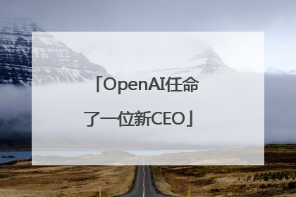 OpenAI任命了一位新CEO